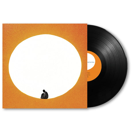Death Cab For Cutie - I built you a tower (LP) - Velvet Music