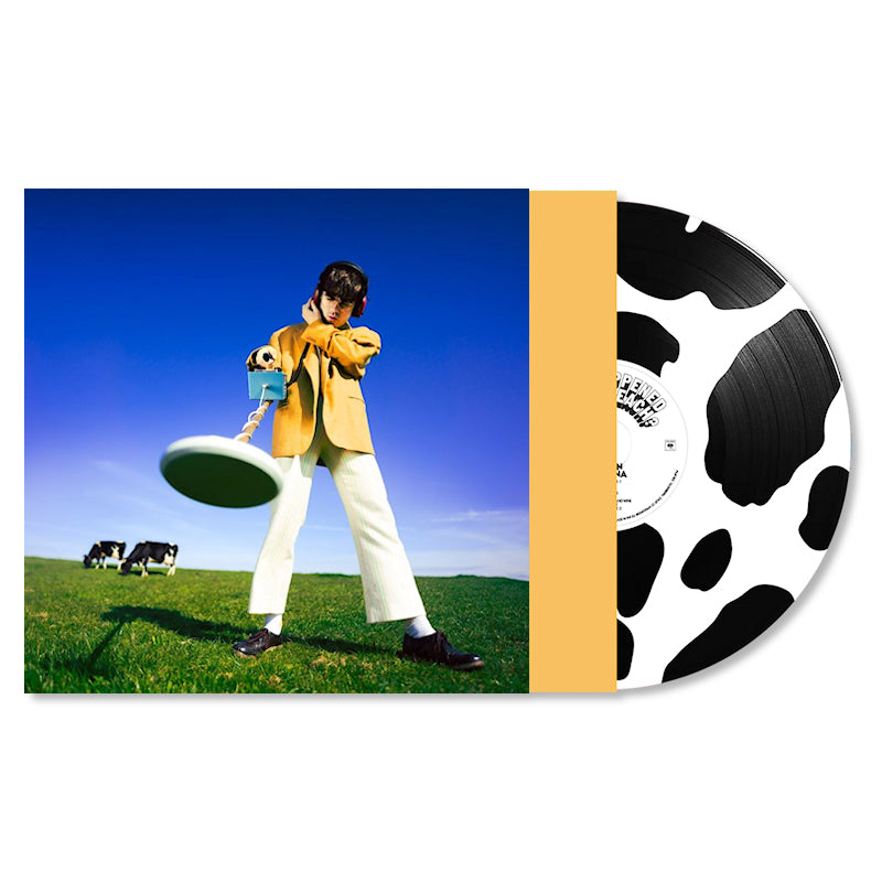 Declan McKenna - What happened to the beach? (LP) - Velvet Music
