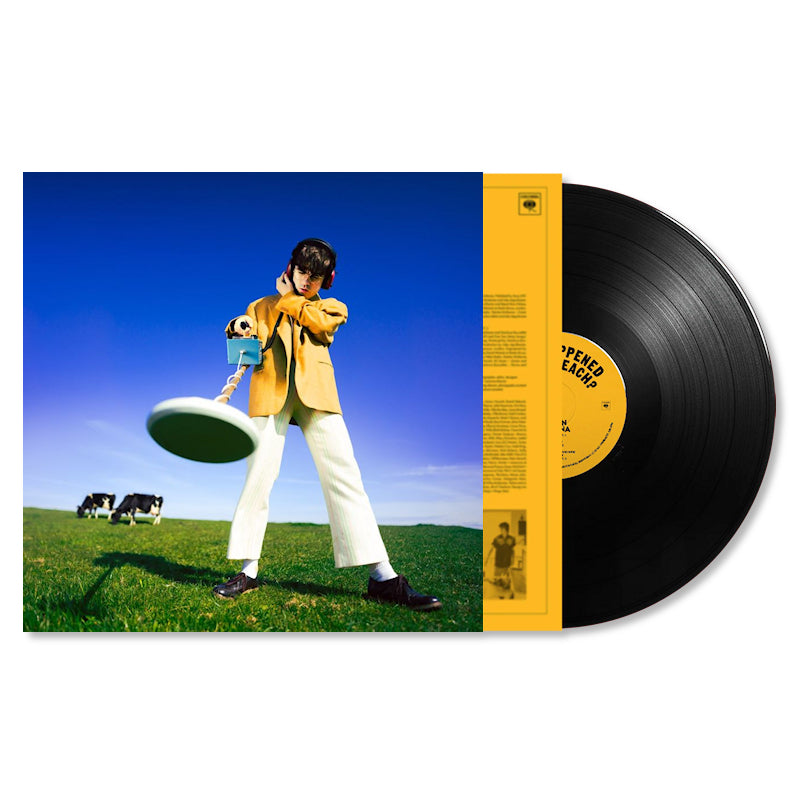 Declan McKenna - What happened to the beach? (LP)