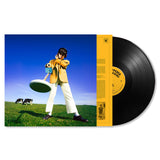 Declan McKenna - What happened to the beach? (LP)
