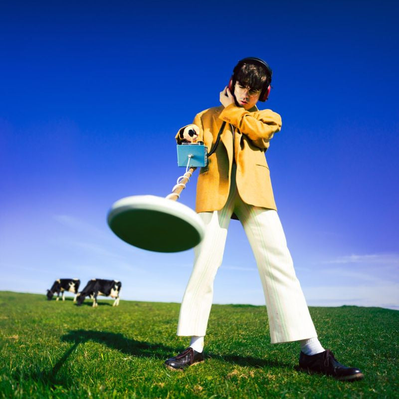 Declan McKenna - What happened to the beach? (LP) - Velvet Music