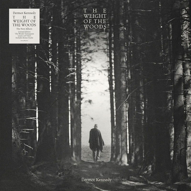 Dermot Kennedy - The weight of the woods (Coloured Vinyl LP) - Velvet Music