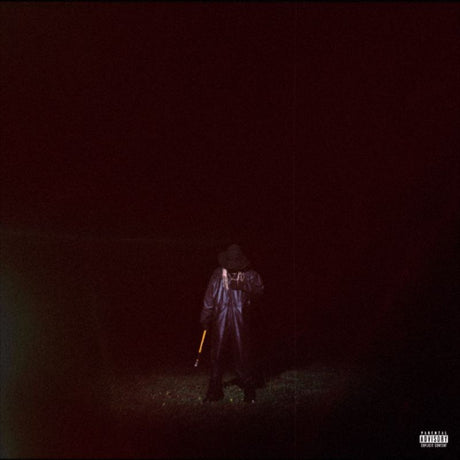 Destroy Lonely - If looks could kill (LP) - Velvet Music