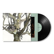 Destroyer - LABYRINTHITIS (LP) - Velvet Music