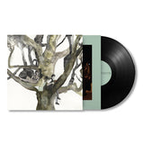 Destroyer - LABYRINTHITIS (LP) - Velvet Music