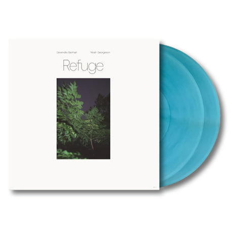 Devendra Banhart & Noah Georgeson - Refuge (LP) - Velvet Music