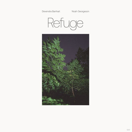Devendra Banhart & Noah Georgeson - Refuge (LP) - Velvet Music