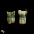 Divide And Dissolve - Insatiable (LP) - Velvet Music