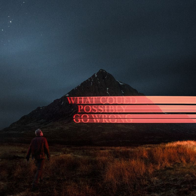 Dominic Fike - What could possibly go wrong (LP) - Velvet Music
