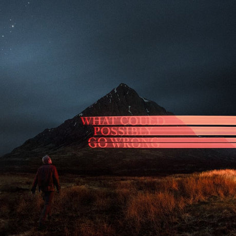 Dominic Fike - What could possibly go wrong (LP) - Velvet Music