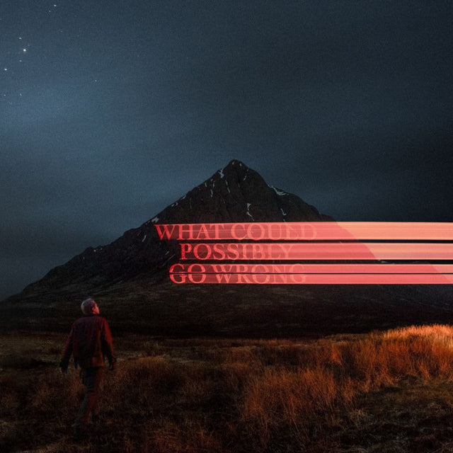 Dominic Fike - What could possibly go wrong (LP) - Velvet Music