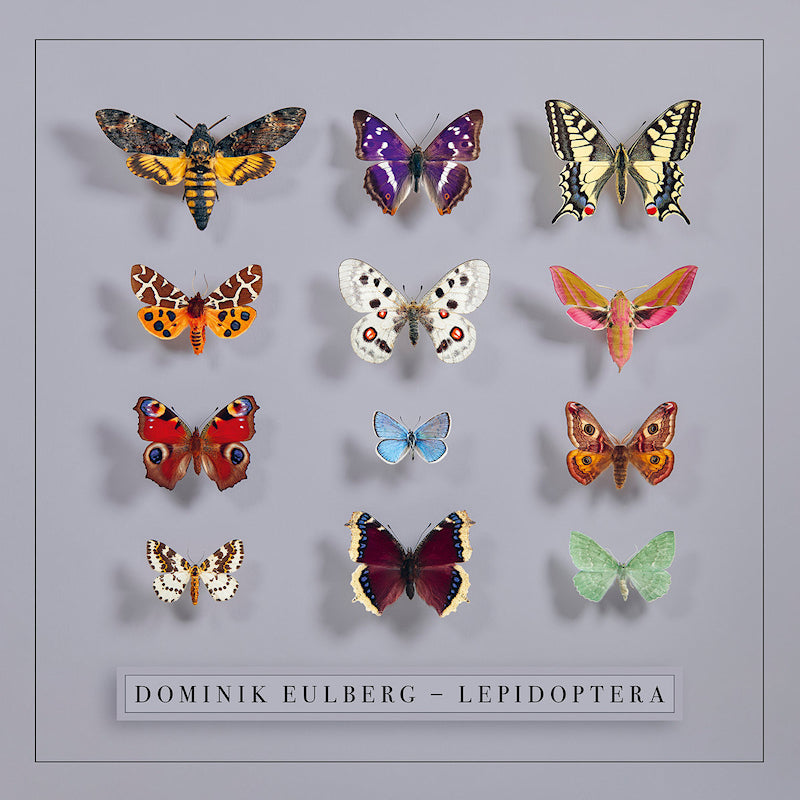 Dominik Eulberg - Lepidoptera (LP) - Velvet Music