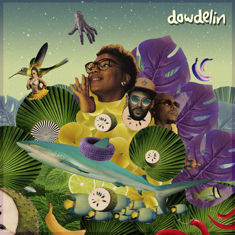 Dowdelin - Carnaval odyssey (LP)