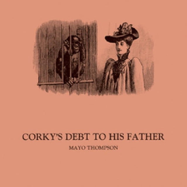 Mayo Thompson - Corky's debt to his father (LP) - Velvet Music