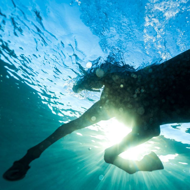 Dream Nails - You wish (CD) - Velvet Music