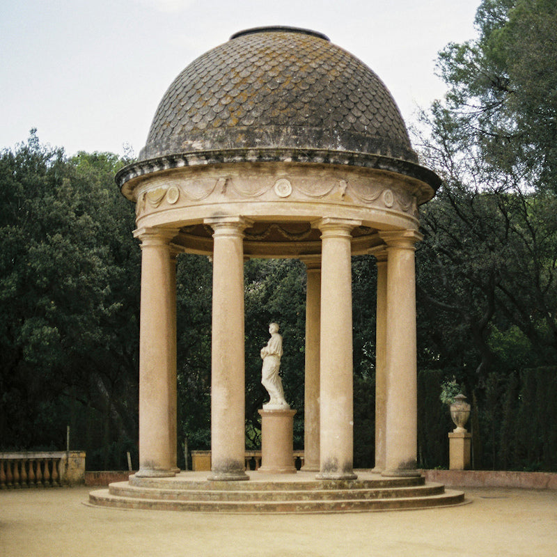 Ducks Ltd. - Harm's way (LP)