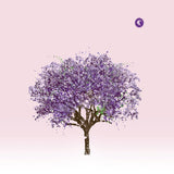 Eels - Tomorrow morning (CD)