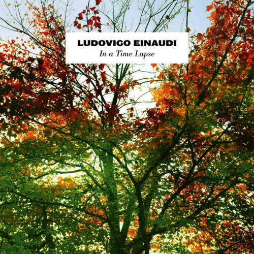 Ludovico Einaudi - In a time lapse (LP)