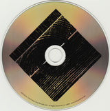 Fink - Perfect Darkness (tweedehands CD) - Velvet Music