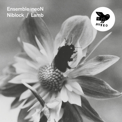 Ensemble Neon - Niblock & lamb (CD) - Velvet Music