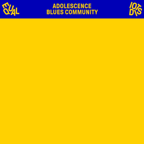 Equal Idiots - Adolescence blues community (LP) - Velvet Music
