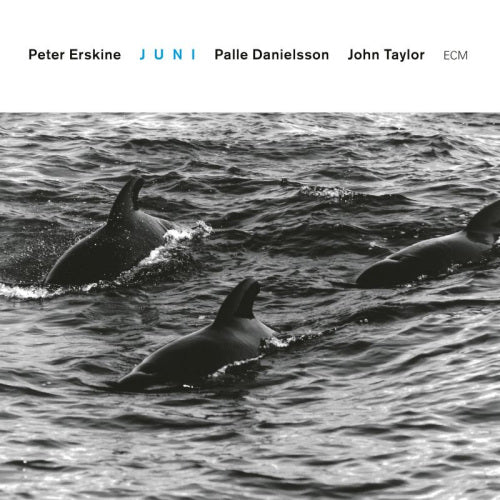 Peter Erskine -trio- - Juni (CD) - Velvet Music