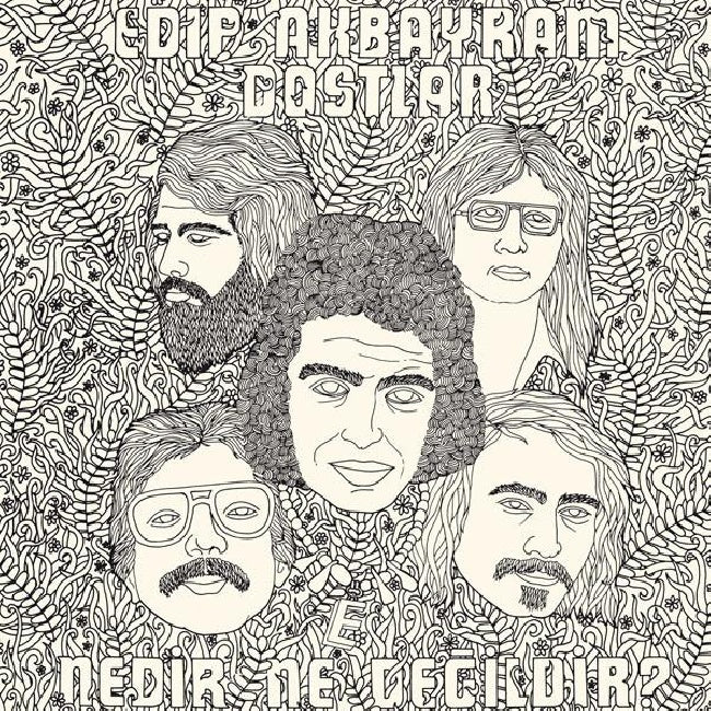 Edip Akbayram &amp; Dostlar - Nedir ne degildir (LP)