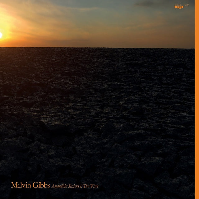 Melvin Gibbs - Anamibia sessions 1: the wave (LP) - Velvet Music