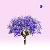 Eels - Tomorrow morning (CD)