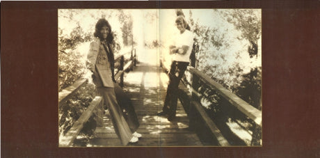 Carpenters - The Singles 1969-1973 (tweedehands LP) - Velvet Music