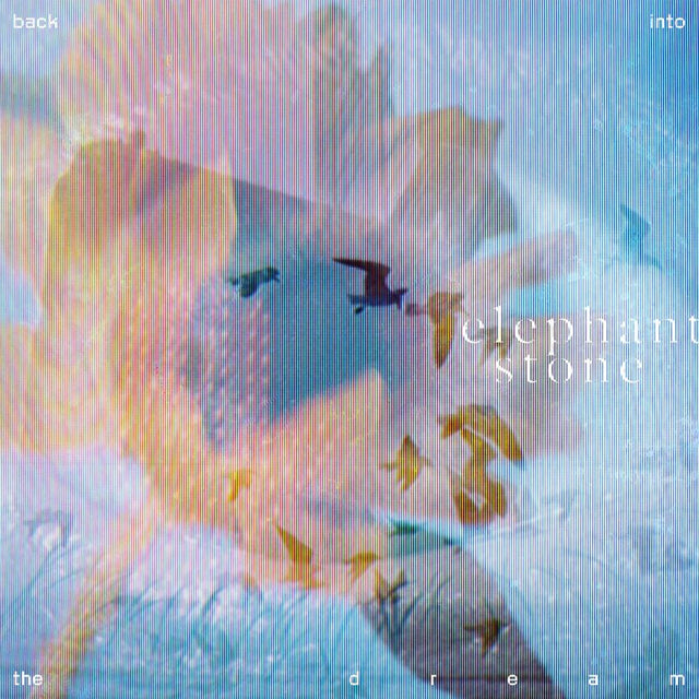 Elephant Stone - Back into the dream (LP) - Velvet Music
