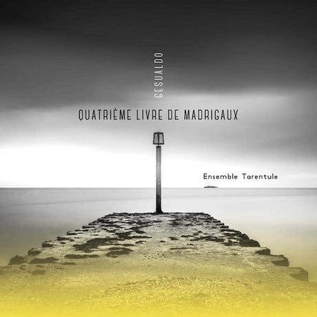 Ensemble Tarentule - Gesualdo: quatrieme livre de madrigaux (CD) - Velvet Music