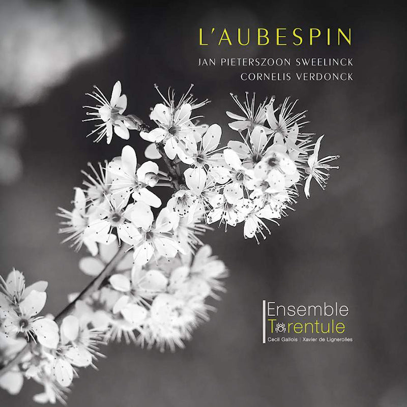 Ensemble Tarentule - L'aubespin (CD) - Velvet Music