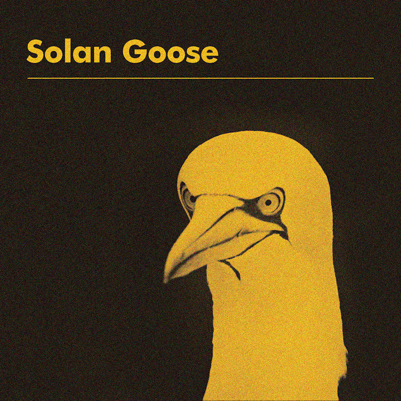 Erland Cooper - Solan goose (LP) - Velvet Music