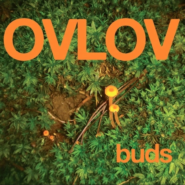 Ovlov - Buds (LP) - Velvet Music