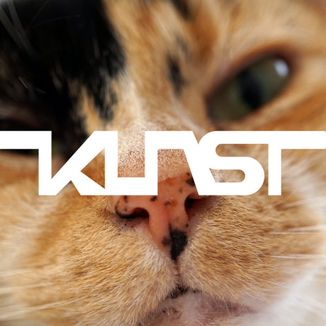 Kunst (2) - Kunst (LP) - Velvet Music