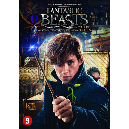Movie - Fantastic beasts and where to find them (DVD movie)