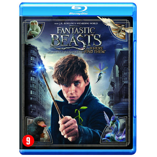 Movie - Fantastic beasts and where to find them (blu ray movie)