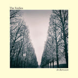 Feelies - In between (LP) - Velvet Music