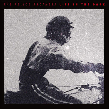 The Felice Brothers - Life in the dark (CD)