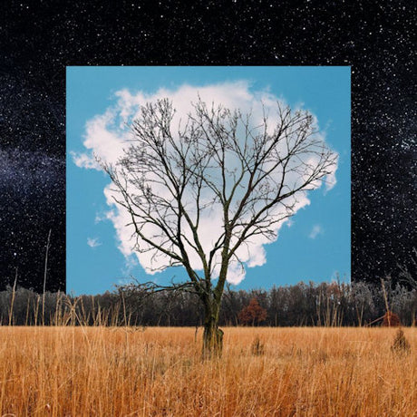 Fink - Bloom innocent (CD) - Velvet Music