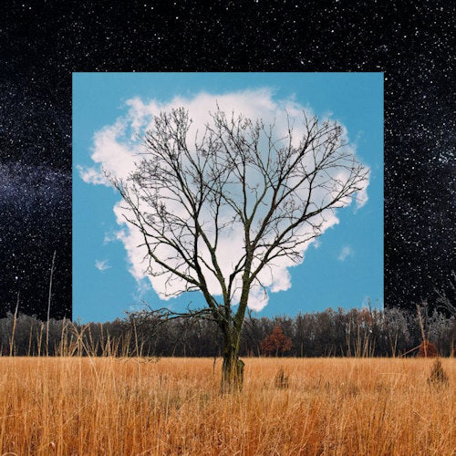 Fink - Bloom innocent (LP) - Velvet Music