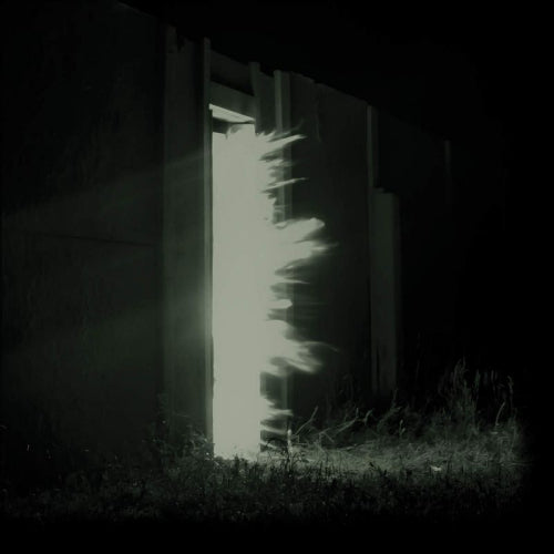 Fink - Horizontalism (CD) - Velvet Music