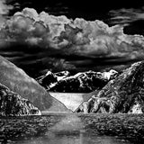 Fjort - Démontage (LP)
