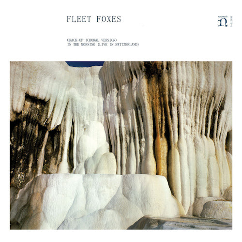 Fleet Foxes - Crack-up/in the.. -ltd- (12-inch maxi-single)