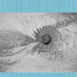 Four Tet - New energy (LP) - Velvet Music