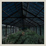 Foxing - Dealer (LP) - Velvet Music