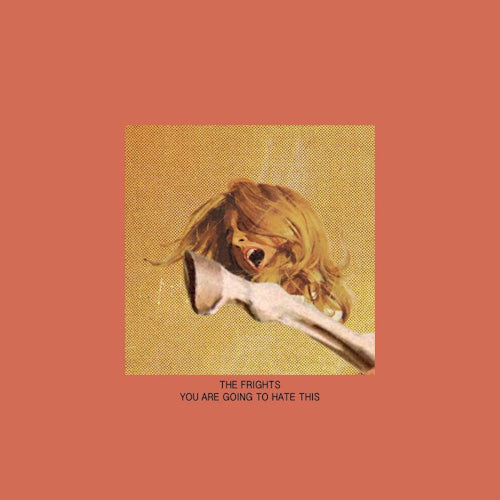 Frights - You are going to hate this (LP) - Velvet Music