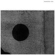 Masayoshi Fujita - Stories (CD) - Velvet Music