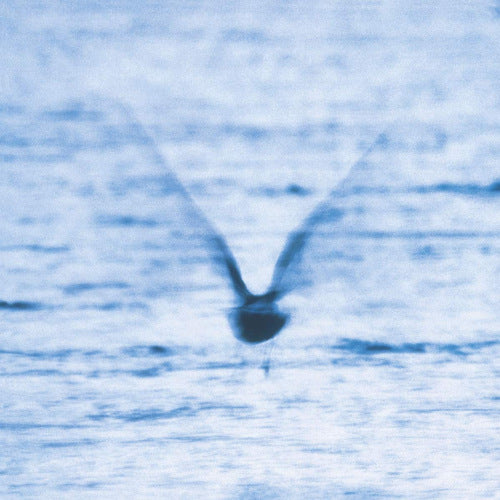 Ryo Fukui - Mellow dream (LP) - Velvet Music